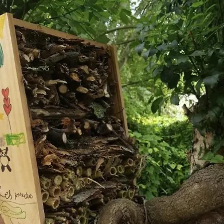 Kamp alanı Avec Animaux Acceptes - 2 Pers. - Api-1-52-2308 Coulon